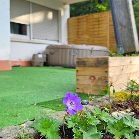 Le Grand Tetras - Col Du Donon Apartment Grandfontaine  Екстериор снимка